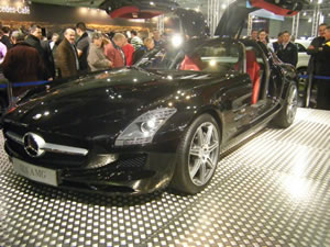 Vienna Autoshow 2010 am 16.01.2010-DSCF6487.jpg