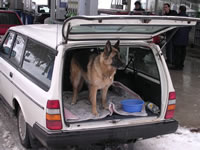 3. Volvofan.at (Winterausfahrt) am 14.02.2004-DSCN0333.jpg