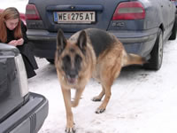 3. Volvofan.at (Winterausfahrt) am 14.02.2004-DSCN0349.jpg