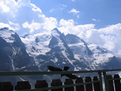 7. Volvofan.at Ausfahrt am 09.06.2007-IMG_9833.jpg