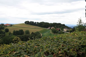 9. Volvofan.at Ausfahrt am 25.06.2001-volvoausfahrt9_0670.jpg