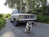 Volvo 144